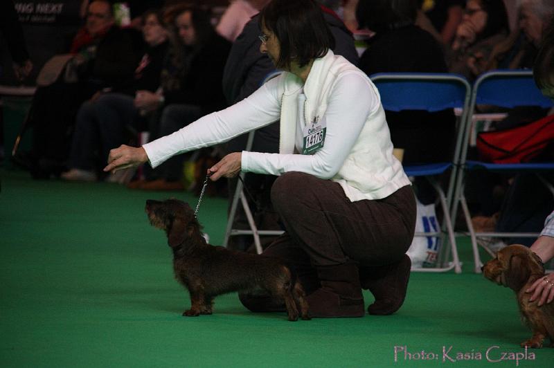 Crufts2011_2 653.jpg